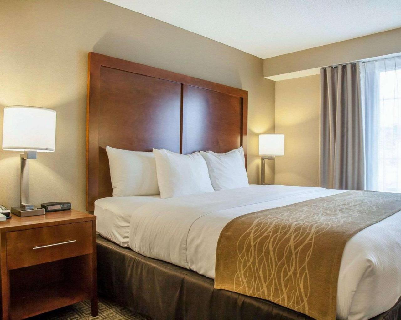 Comfort Inn & Suites Sturbridge-Brimfield Εξωτερικό φωτογραφία