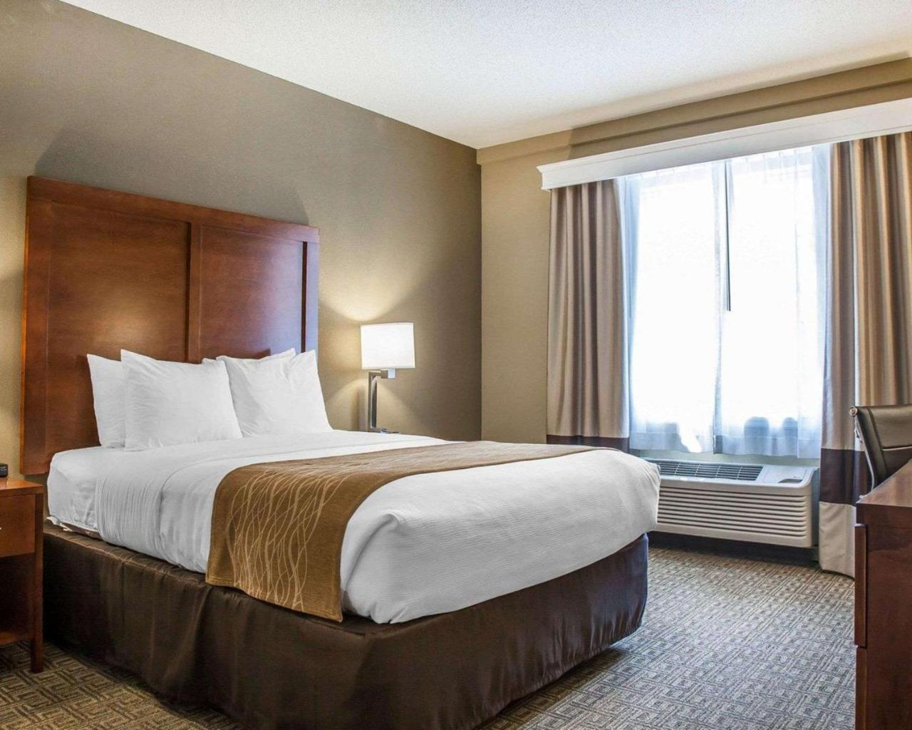 Comfort Inn & Suites Sturbridge-Brimfield Εξωτερικό φωτογραφία